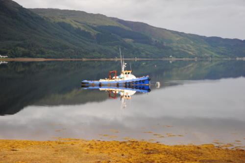 DSC 1104