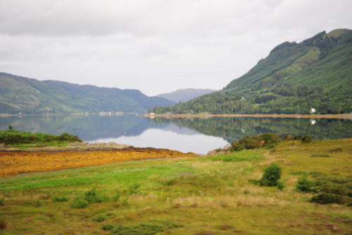 DSC 1105
